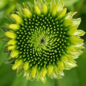 Meet your Posher, Kristina